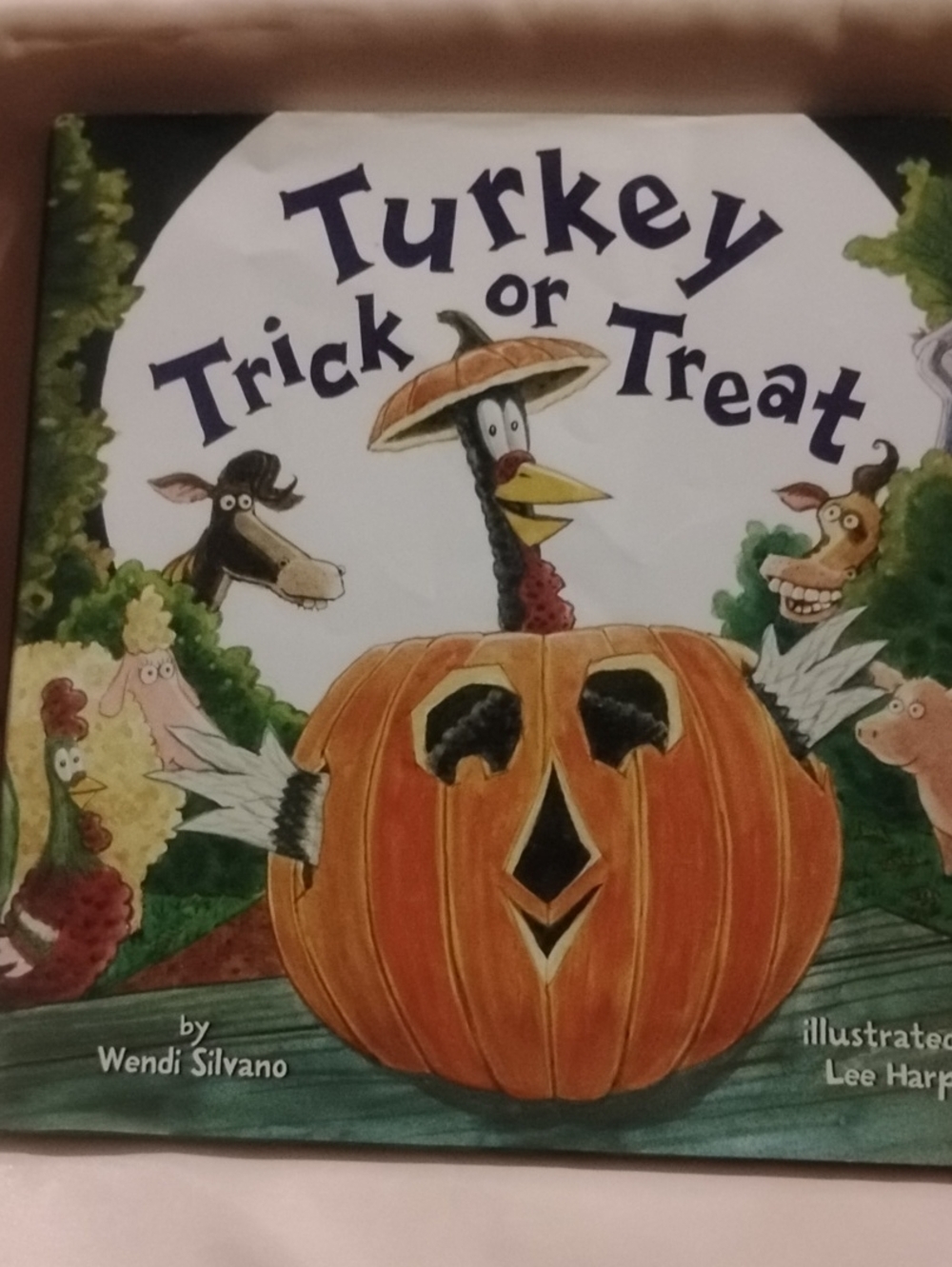 Turkey Trick or Treat Kids Costume - Orange Pumpkin Turkey